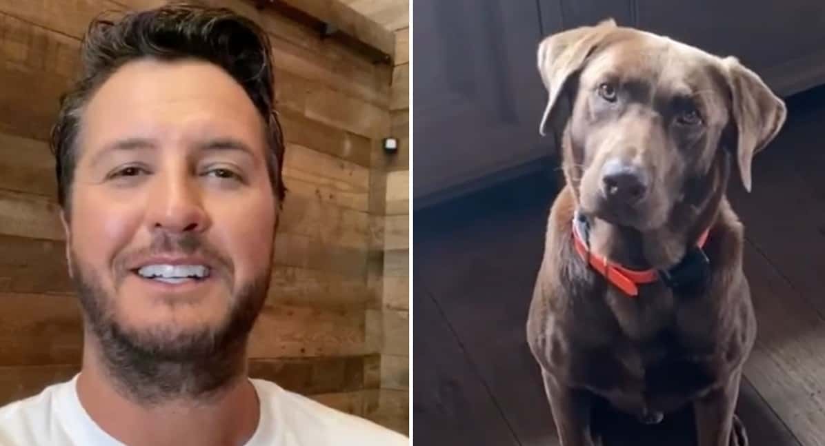Luke Bryan's Dog Choc Is The Victim of His Latest Prank Country Now
