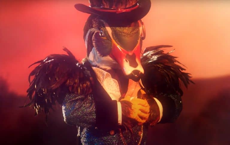 Is the Mallard On 'The Masked Singer' a Country Superstar - Or Willie ...