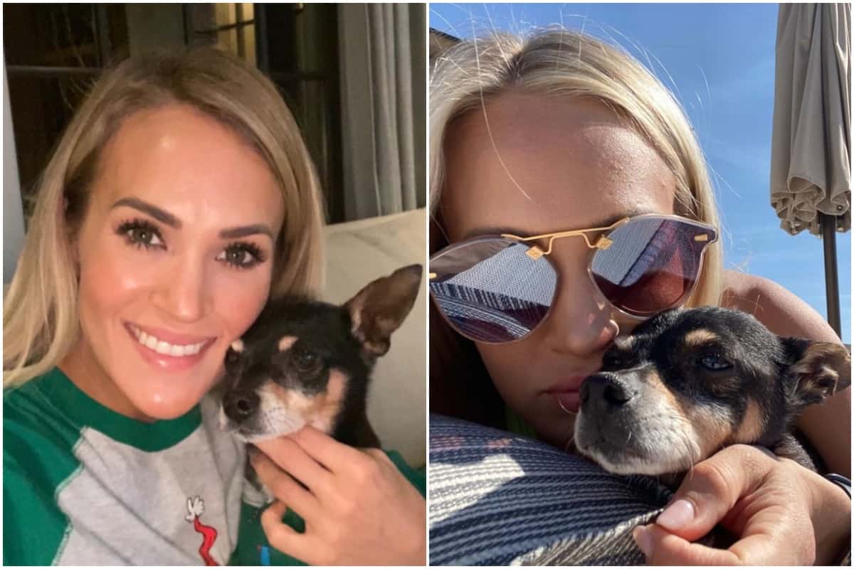 Carrie Underwood Reveals Her Sweet Dog Ace Died on Grammys Night