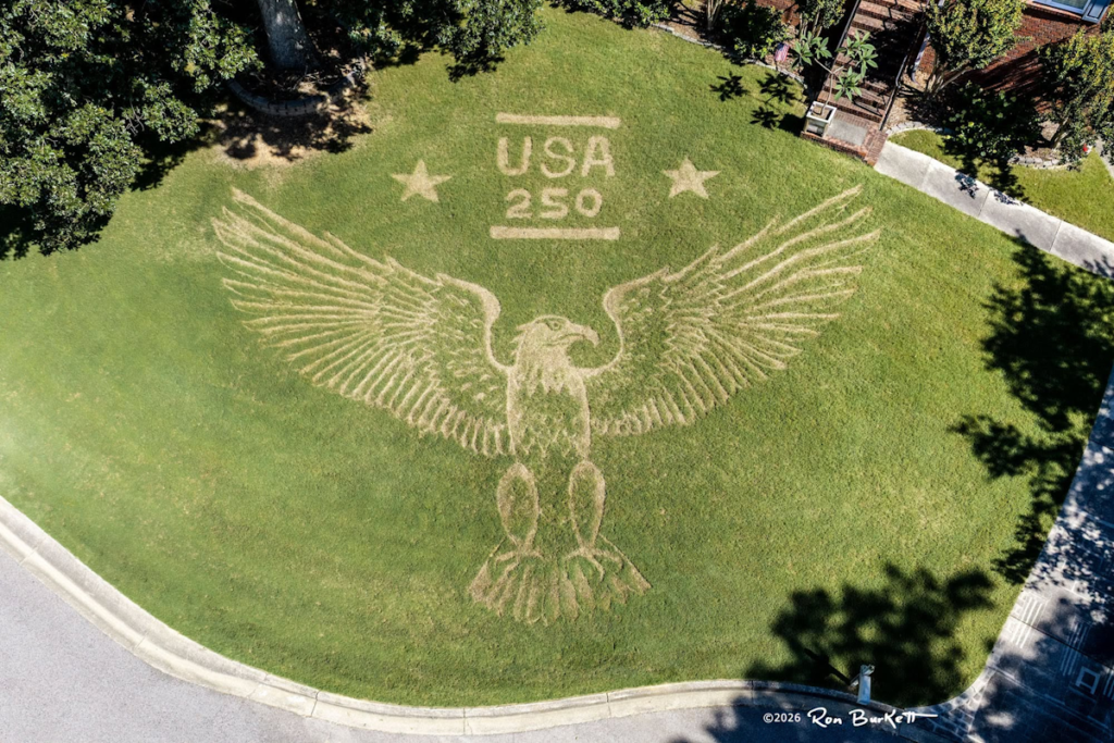 “USA 250” Eagle Lawn Art; Photo Courtesy of Ron Burkett