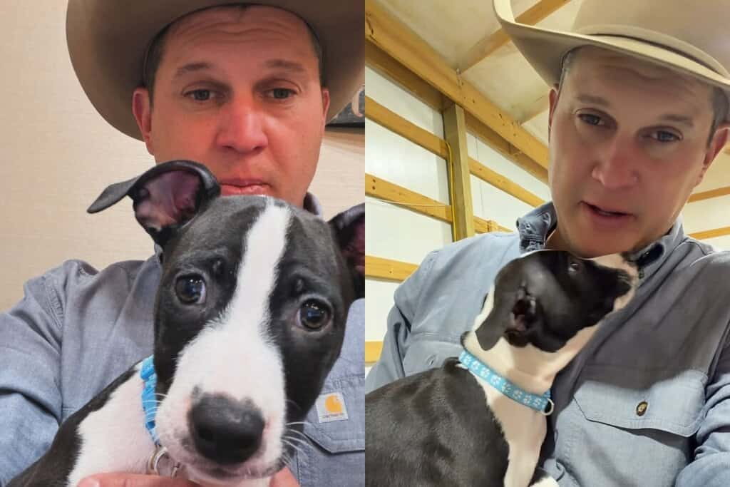 Jon Pardi, Scout; Photos via Instagram